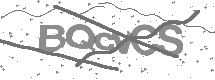 visual captcha